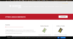 Desktop Screenshot of gruppocasavecchia.it
